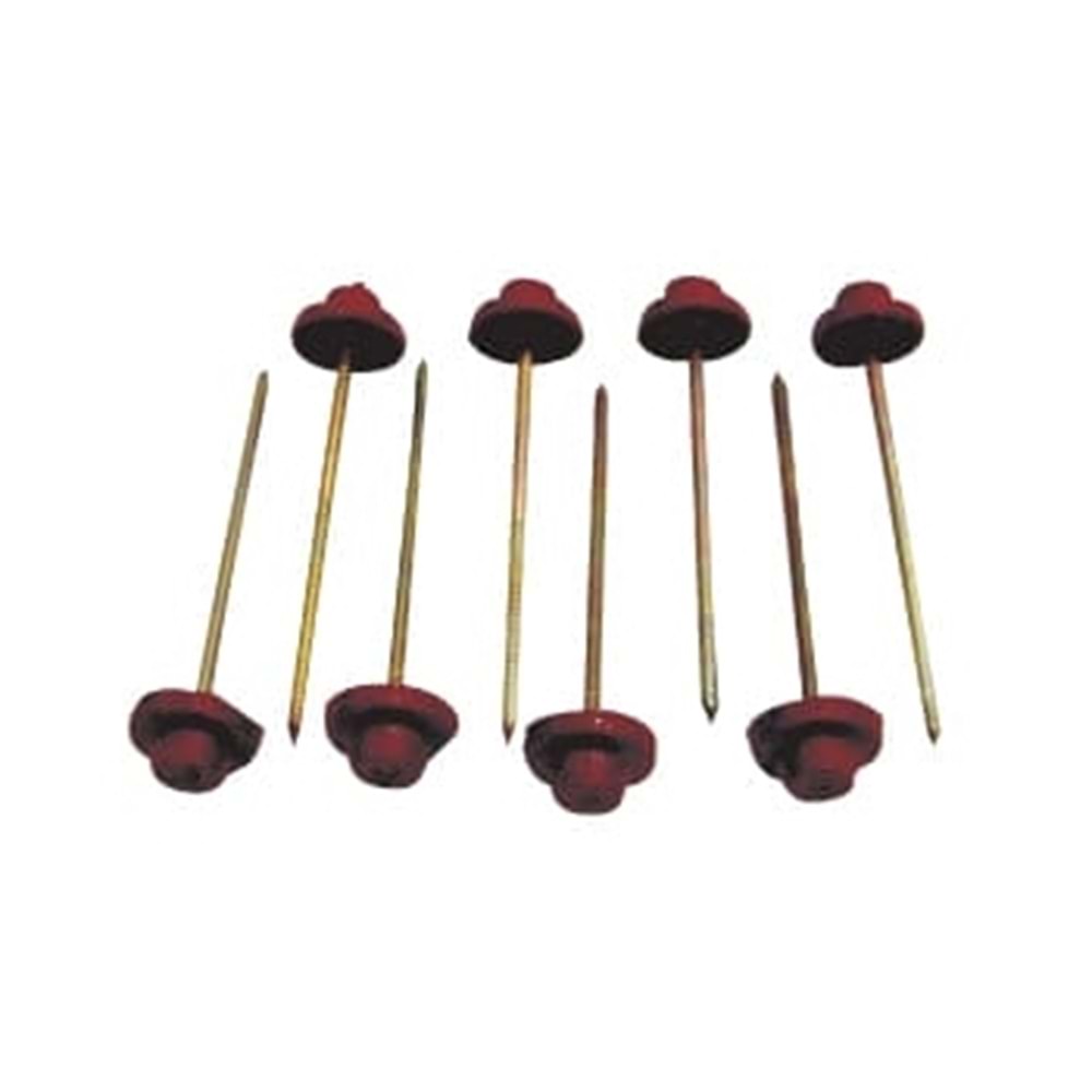 ONDİLİN ÇİVİSİ 10 cm 2 kğ+