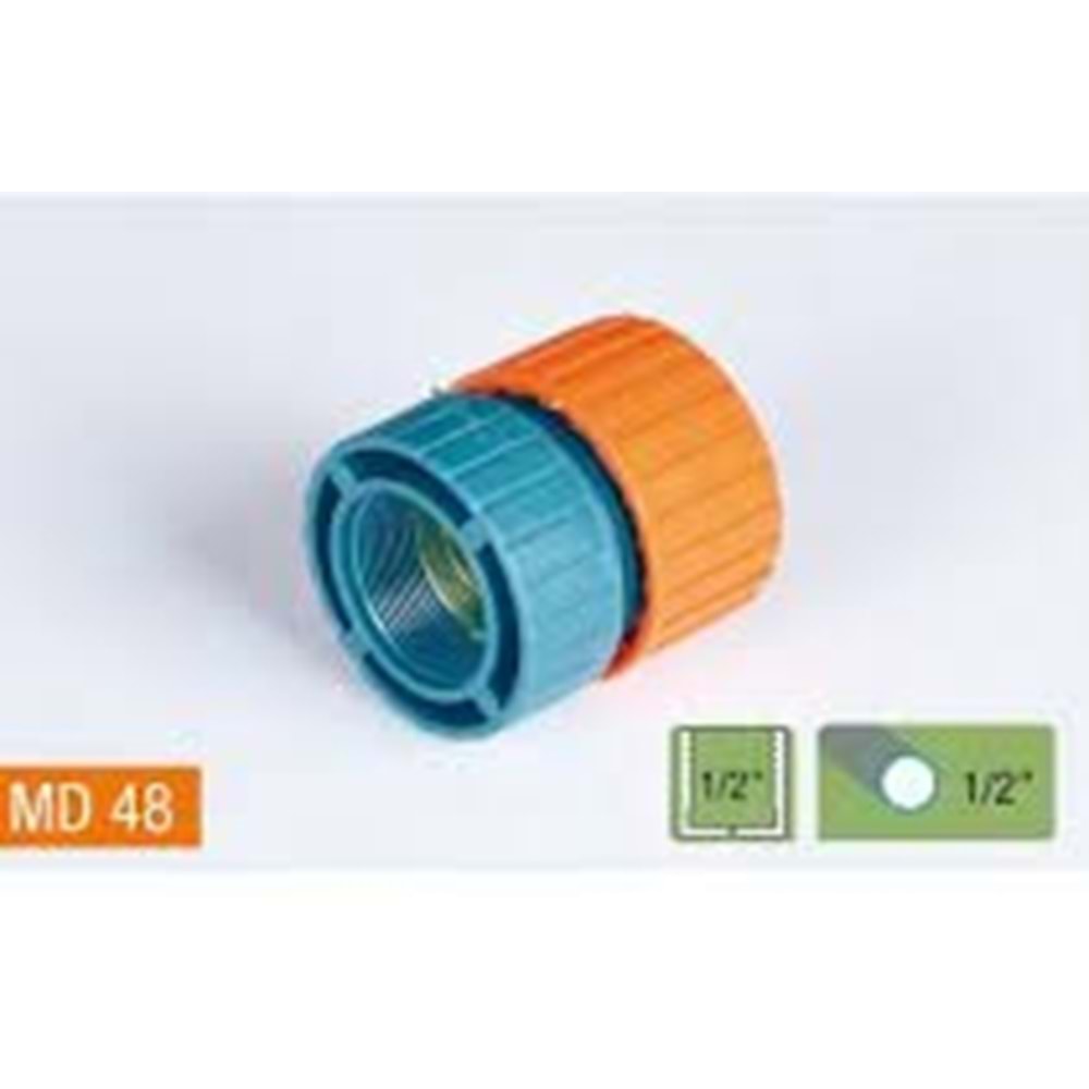 MD 48 1/2 BATARYA REKORU DİŞİ (*24)+