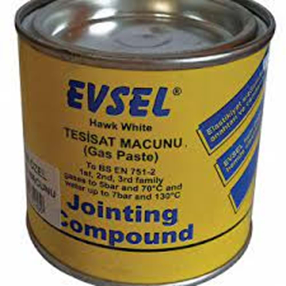 EVSEL DOĞALGAZ MACUNU 400 GR.+
