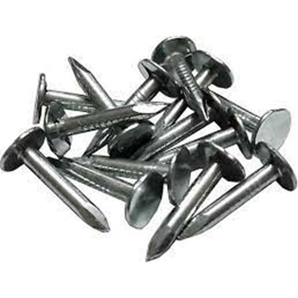 ŞINGIL ÇİVİSİ 2.5 CM 2.5KG#